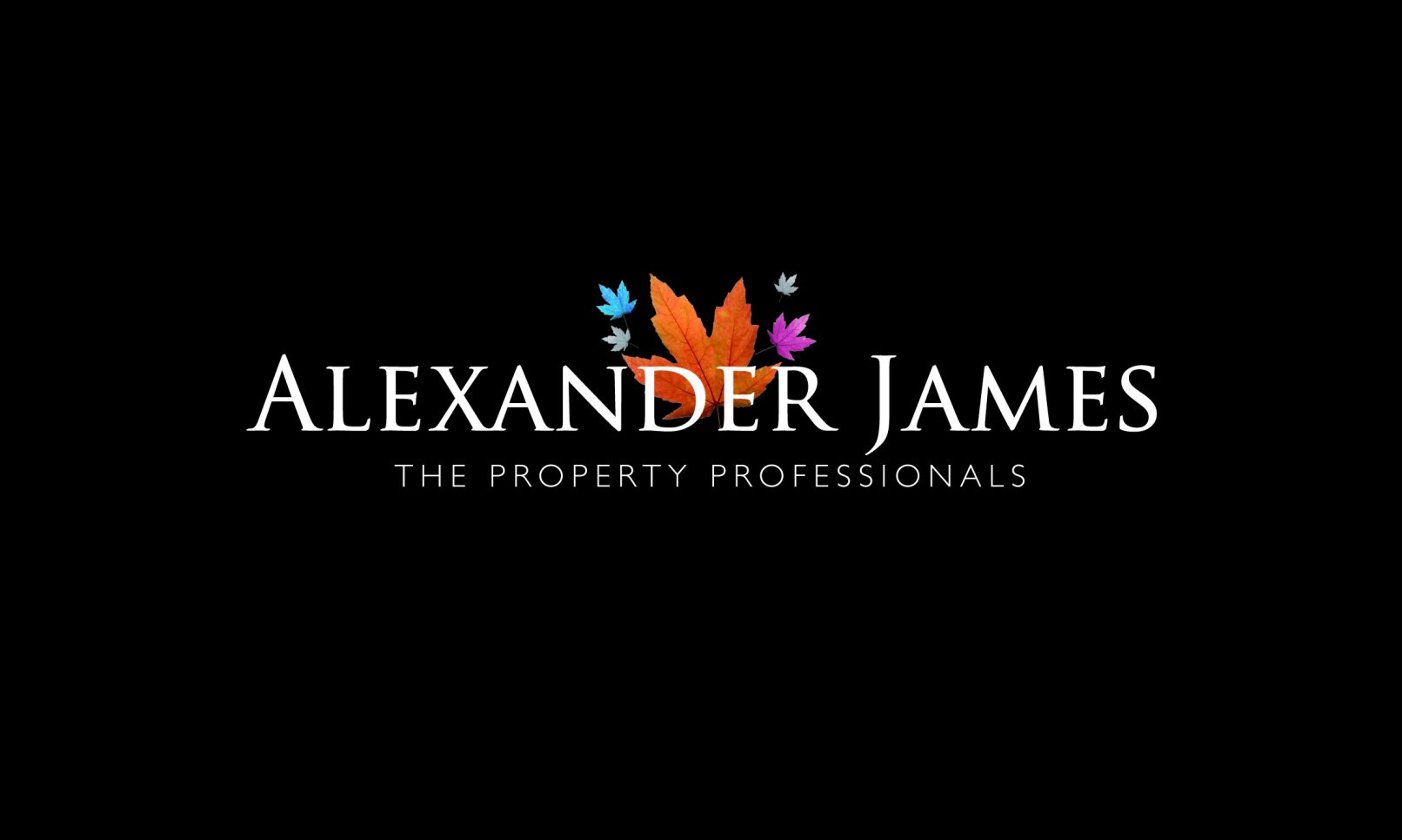 Alexander James Estate Agents Renfrew Creative